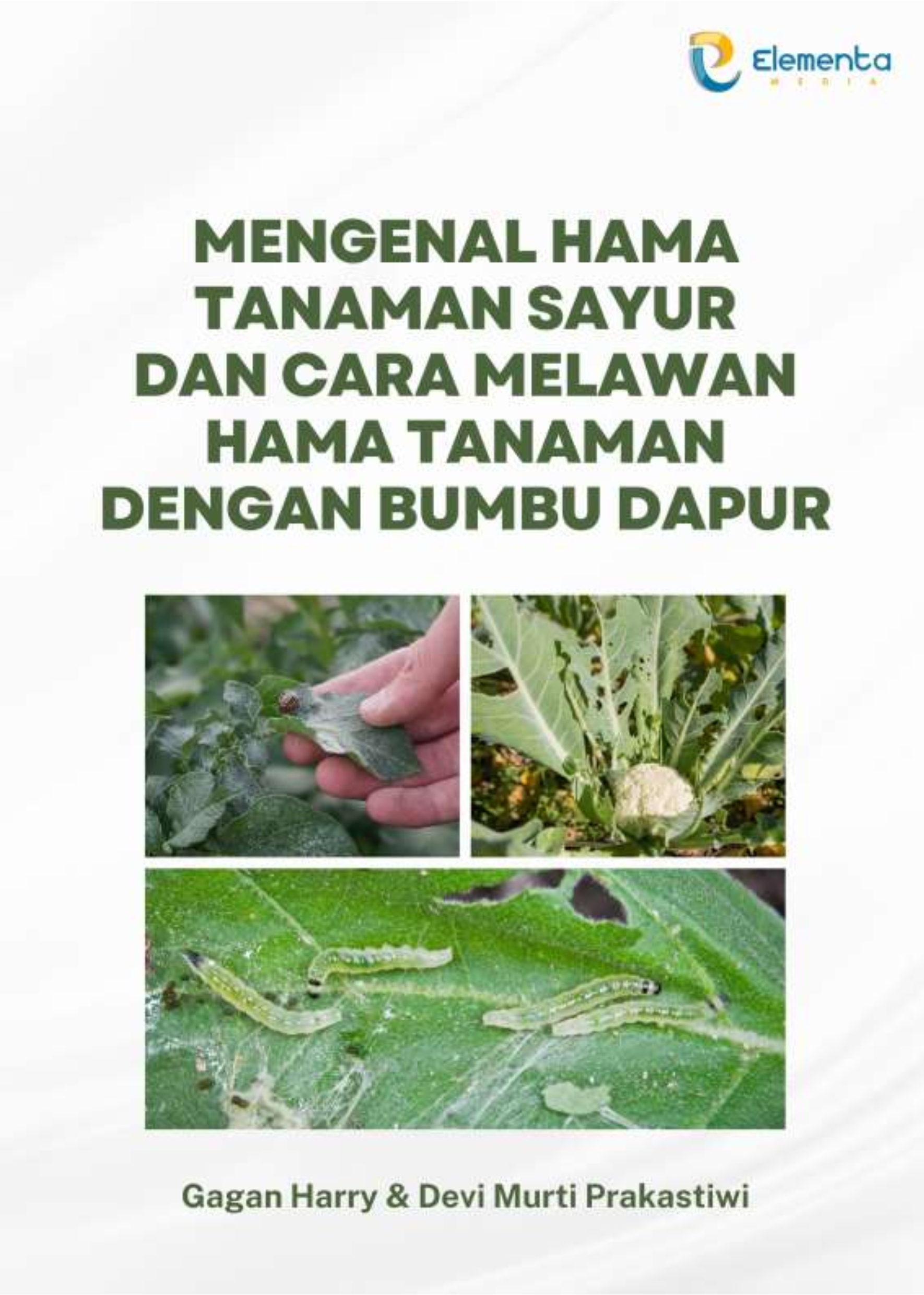 Mengenal Hama Tanaman Sayur dan Cara Melawan Hama Tanaman dengan Bumbu Dapur